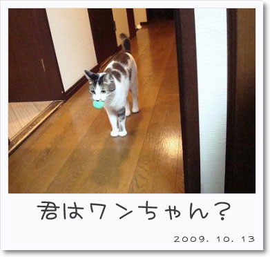 3877