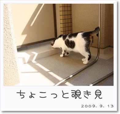 3735