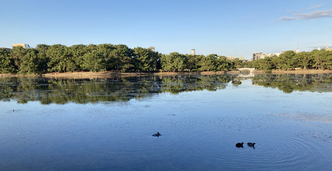 大濠公園