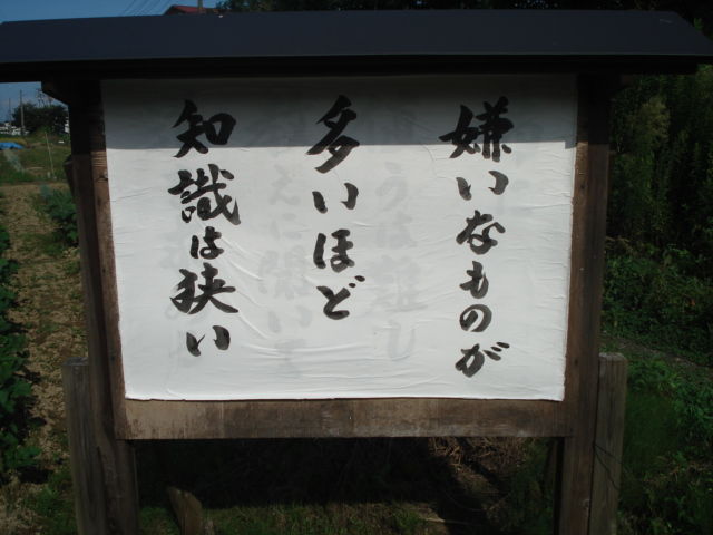 野球選手のかっこいい名言 まとめすぎて申し訳ない