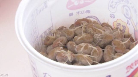 水戸市の小学校で納豆給食