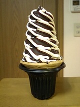 �У�������塡���ꥳ