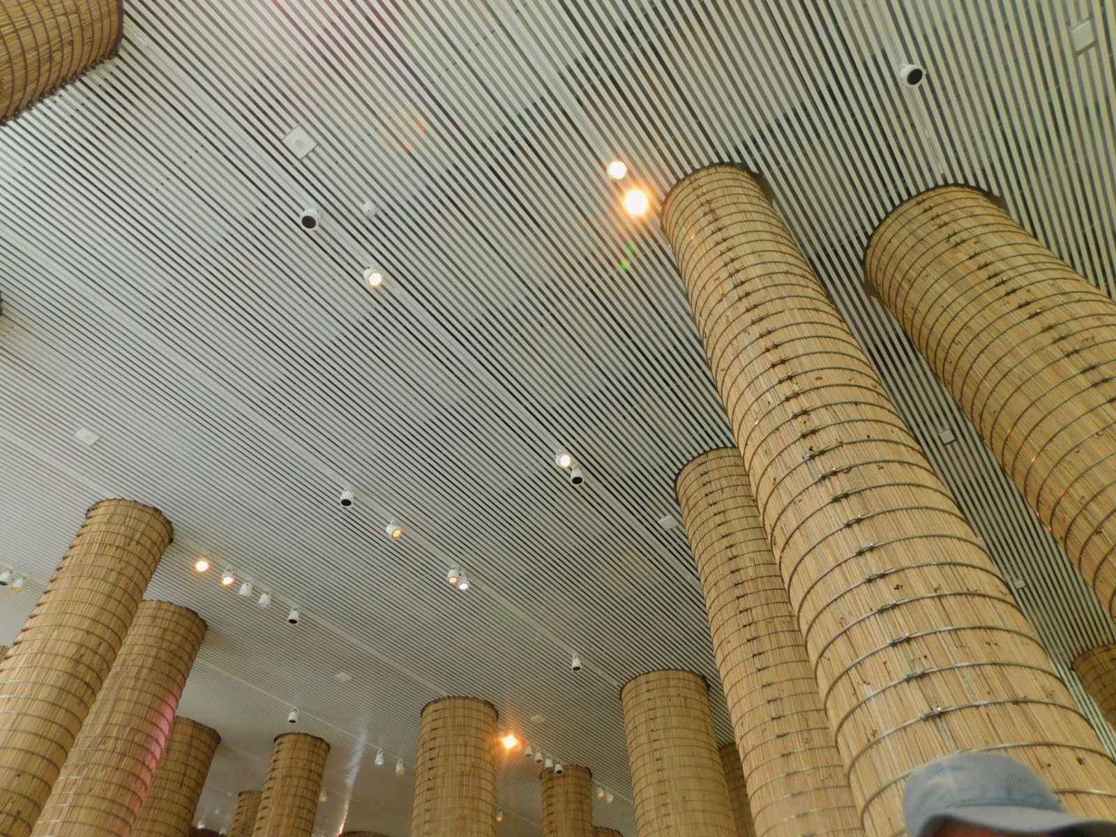 47ÂçÃϤ˿¼¤¯º¬¤òÄ¥¤êÂç¶õ¤Ë¸þ¤«¤Ã¤Æ¤½¤Ó¤¨Î©¤Ä¥Ê¥Ä¥á¥ä¥·¤ÎÌÚ