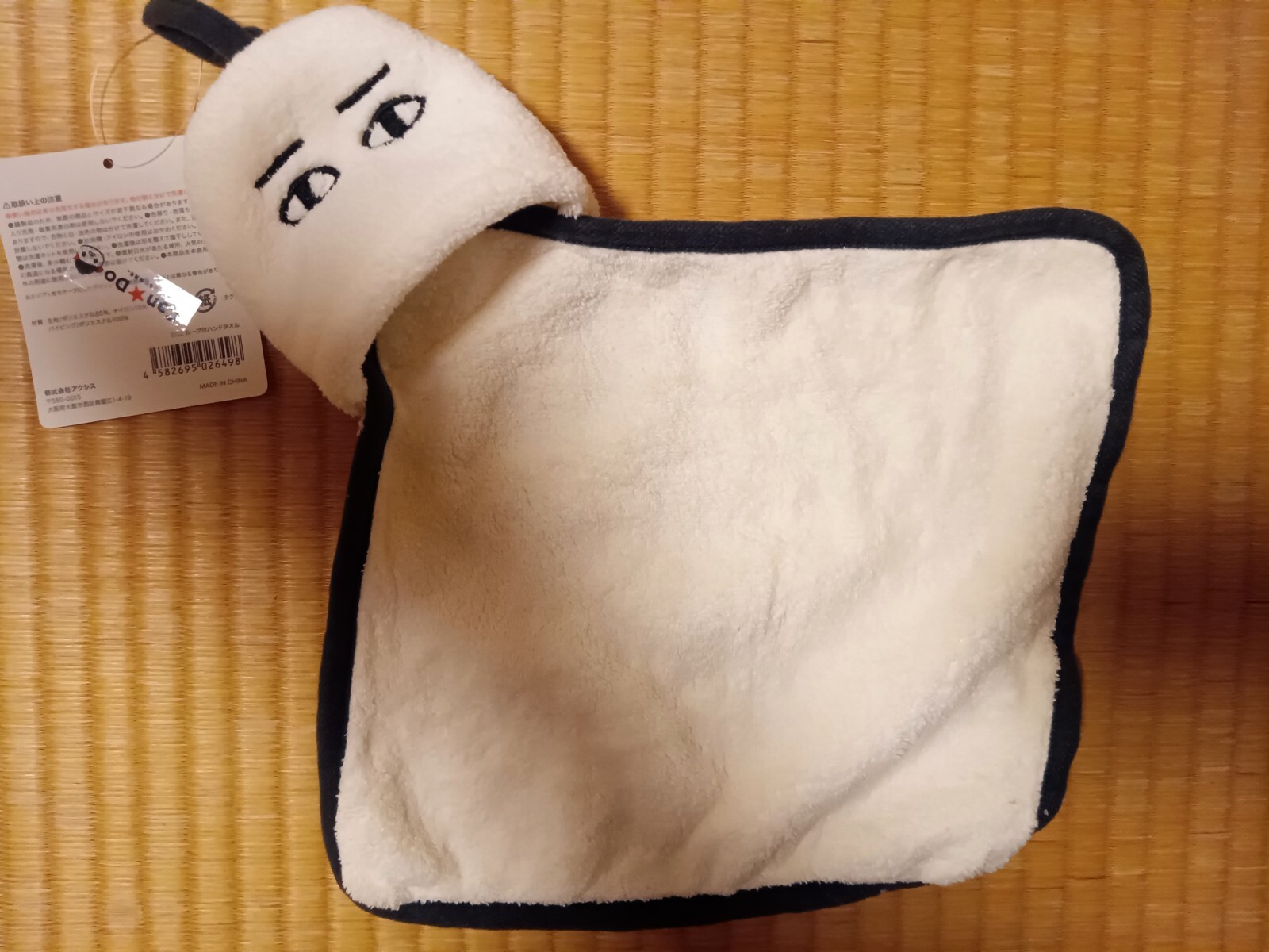 �������Ȥ���