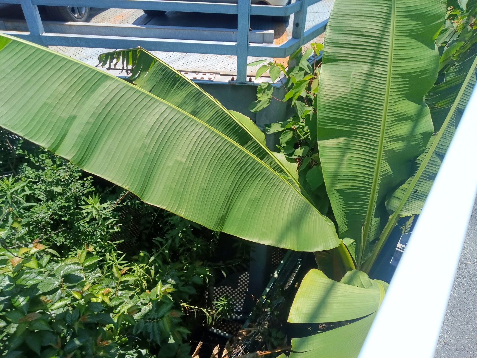 Æ»Ï©ÏÆ¤ËµðÂç¤ÊÍÕ