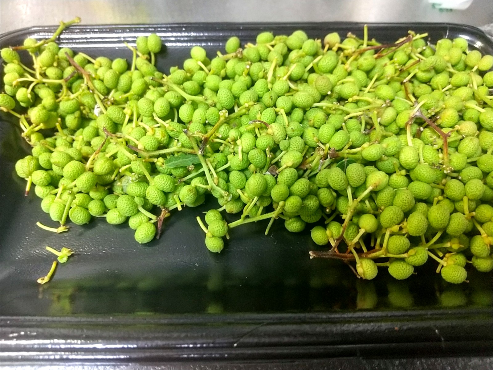 �²λ������¤��󤷤礦