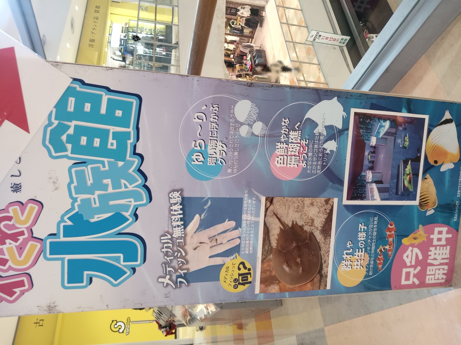 �勞�勞�����ο�²��