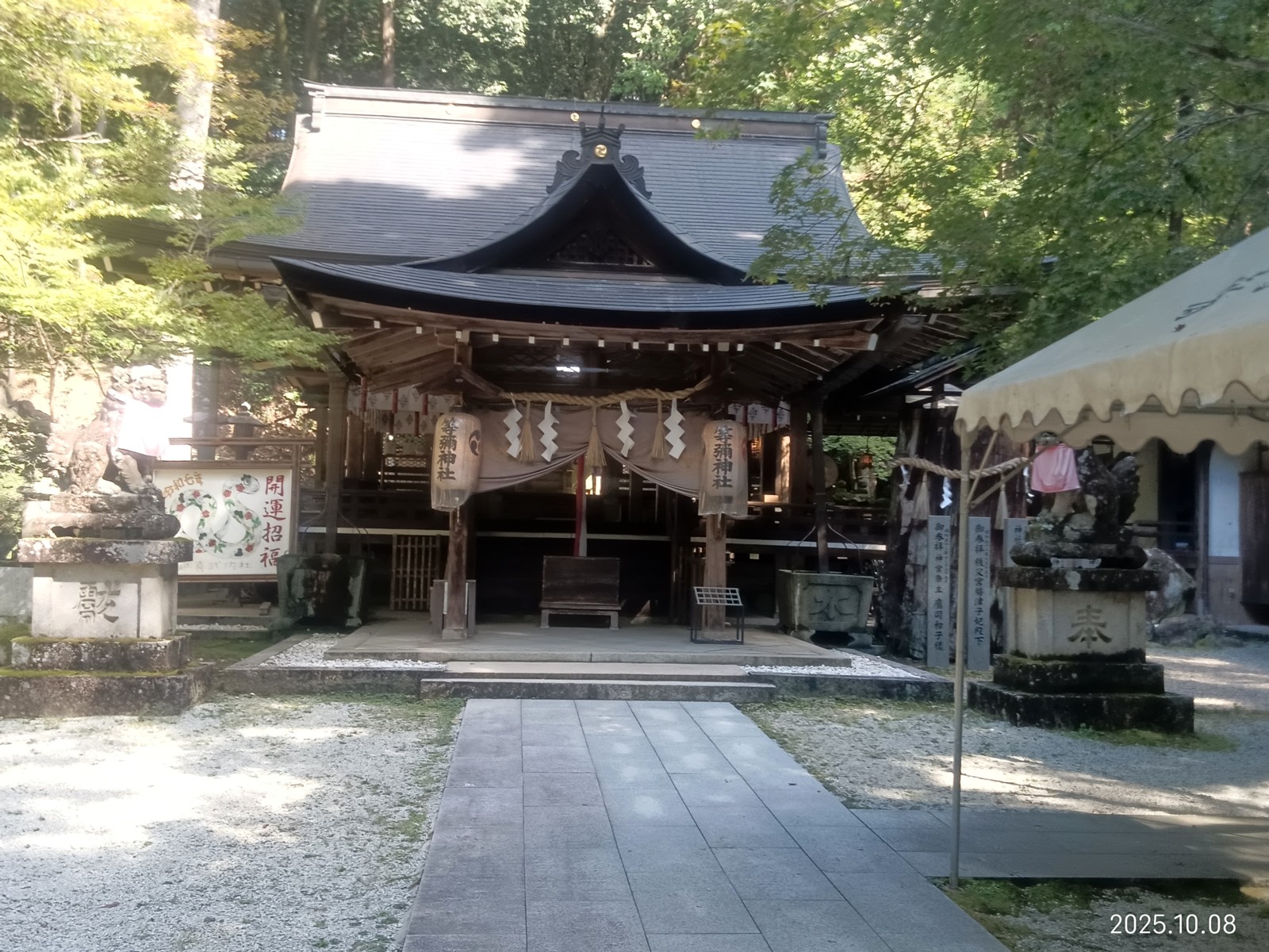 8������������