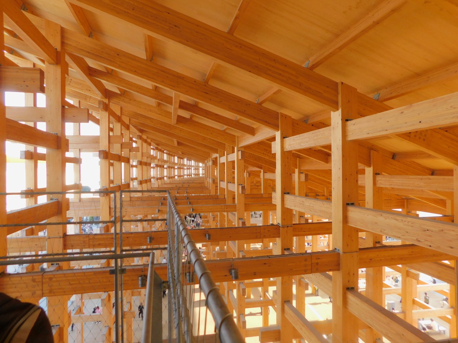 40Âç²°º¬¥ê¥ó¥°¤ÎÃæ