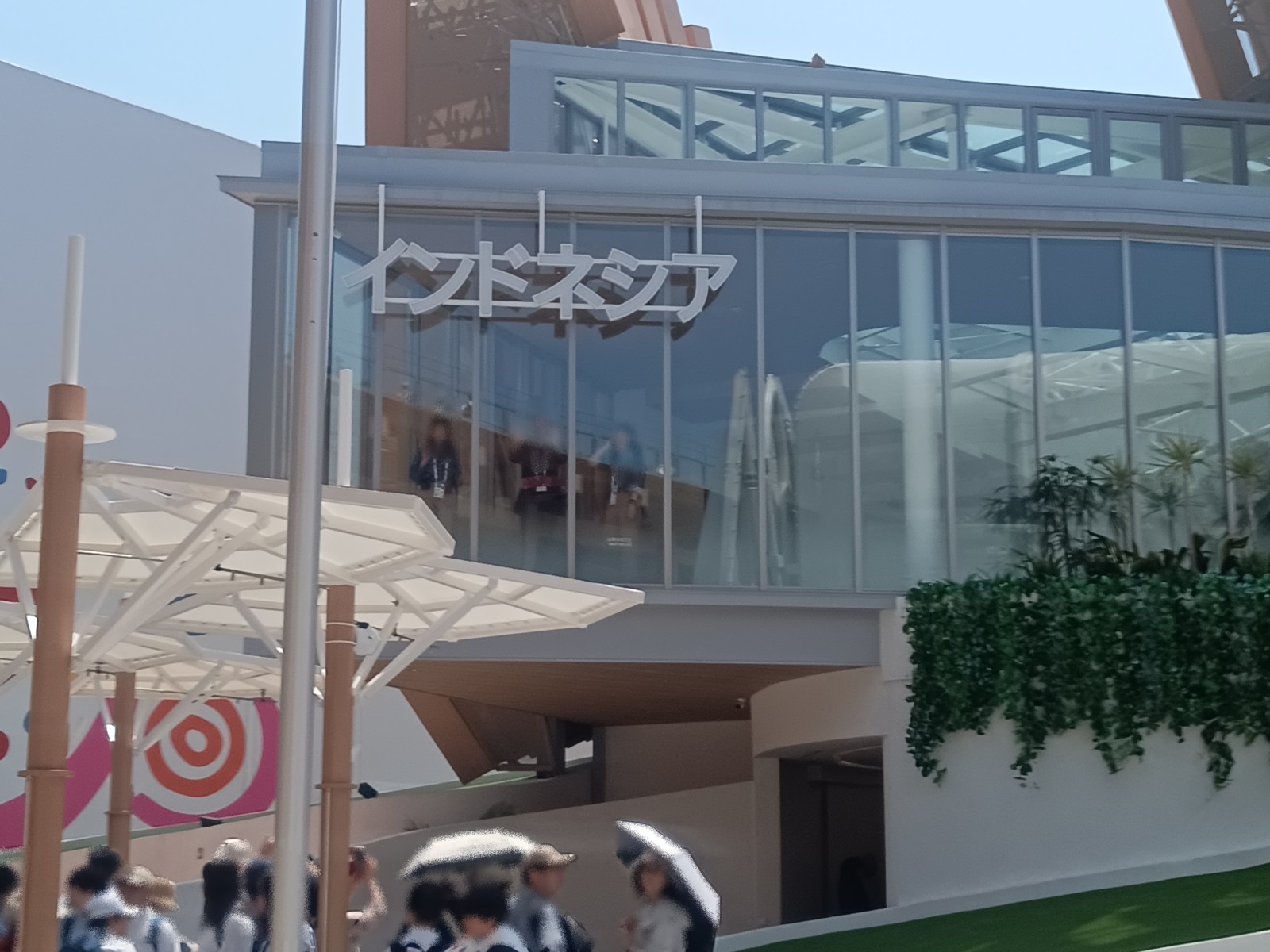 20¥¤¥ó¥É¥Í¥·¥¢´Û