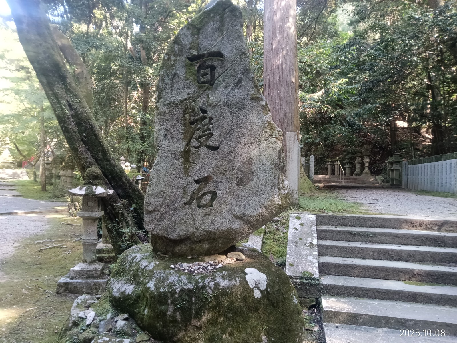 7��ɴ����