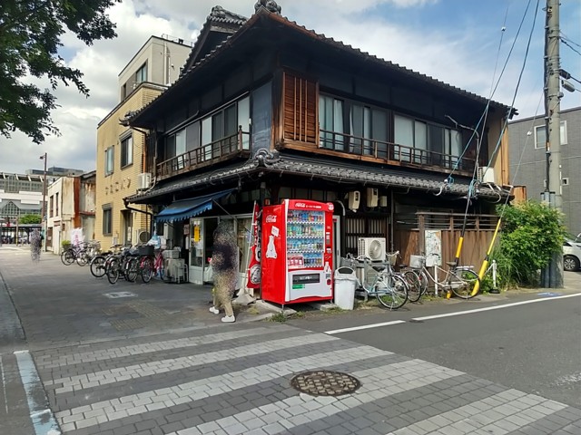 ¥µ¥«¥¨¥Ñ¥ó
