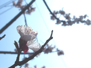 15���餤����