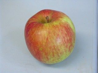 ����Ĥ����󤴡�Ĺ���e