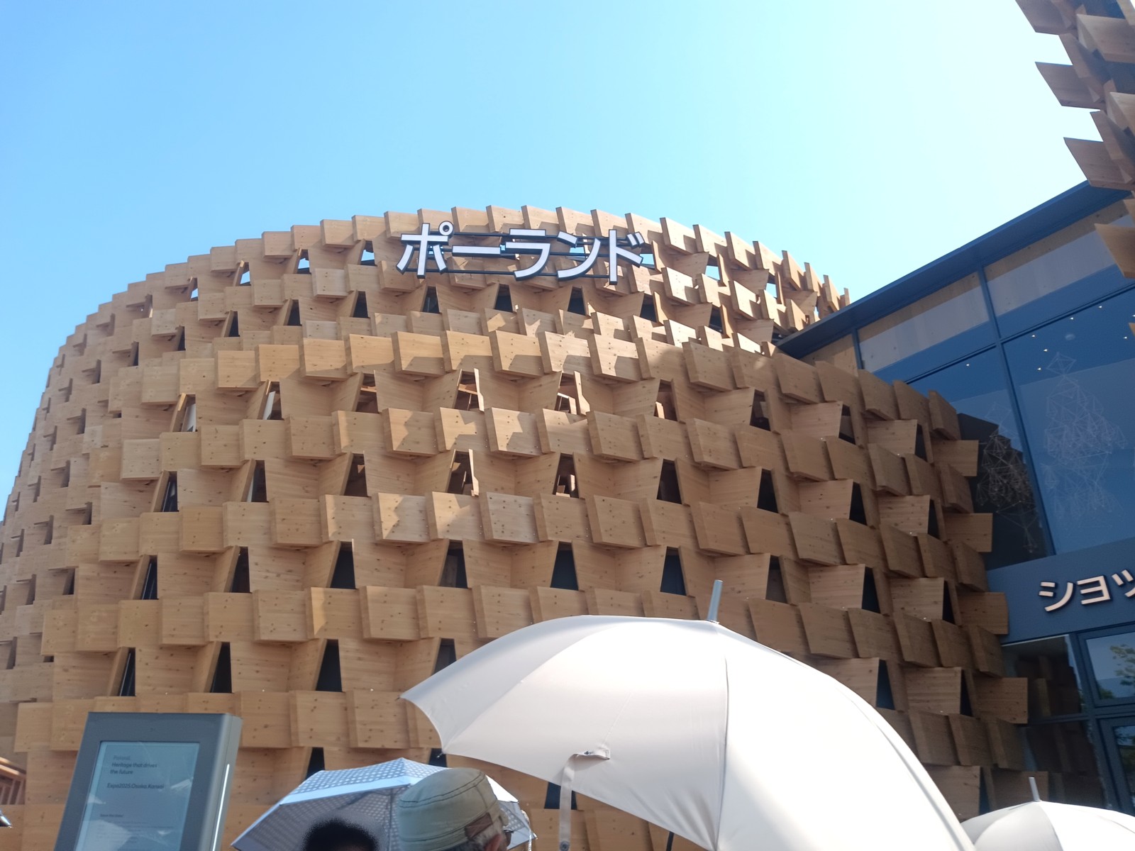 31¥Ý¡¼¥é¥ó¥É¥Ñ¥Ó¥ê¥ª¥ó