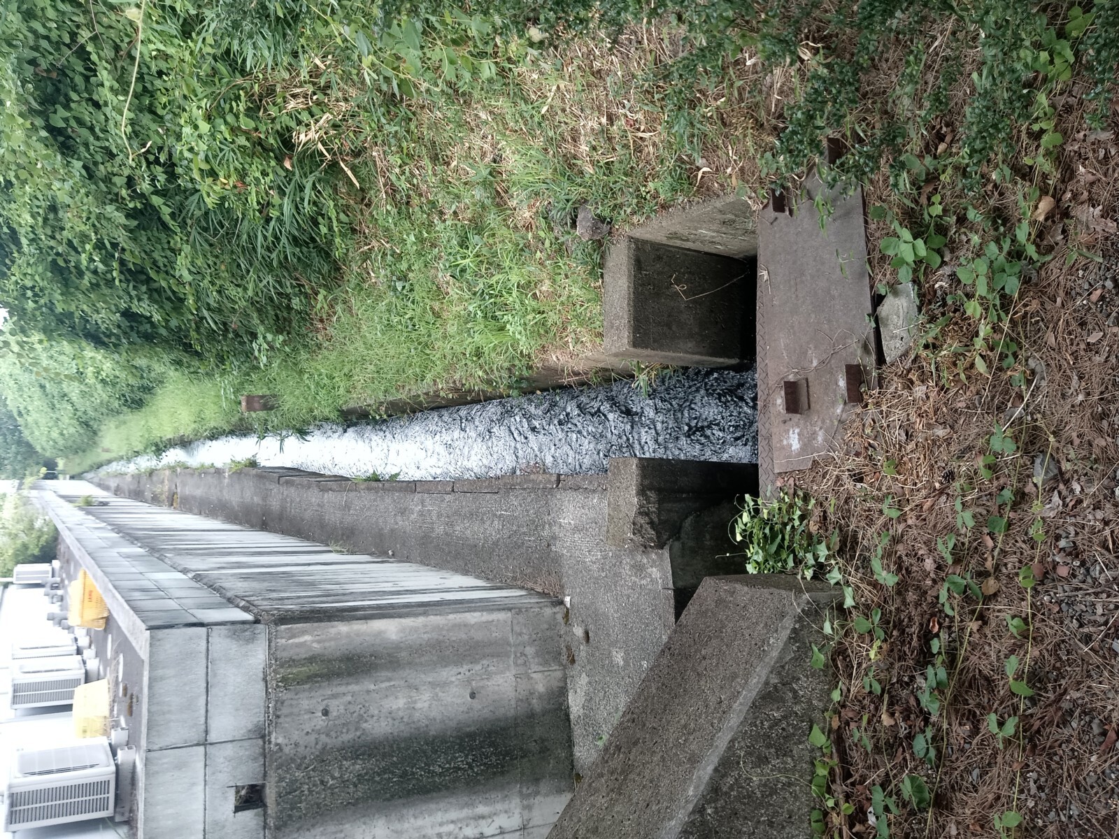 ��ϩ�ˤ����ʿ�