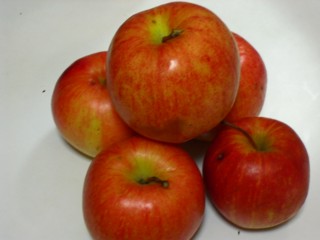 2�Ŀ�������̵���̥���ʥ������