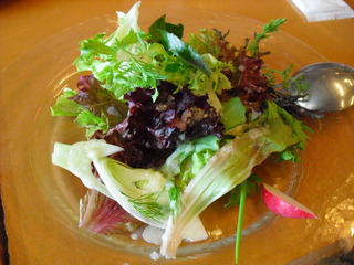 Pranzo A¡¡¤Î¼«²ÈºÏÇÝ¥µ¥é¥À