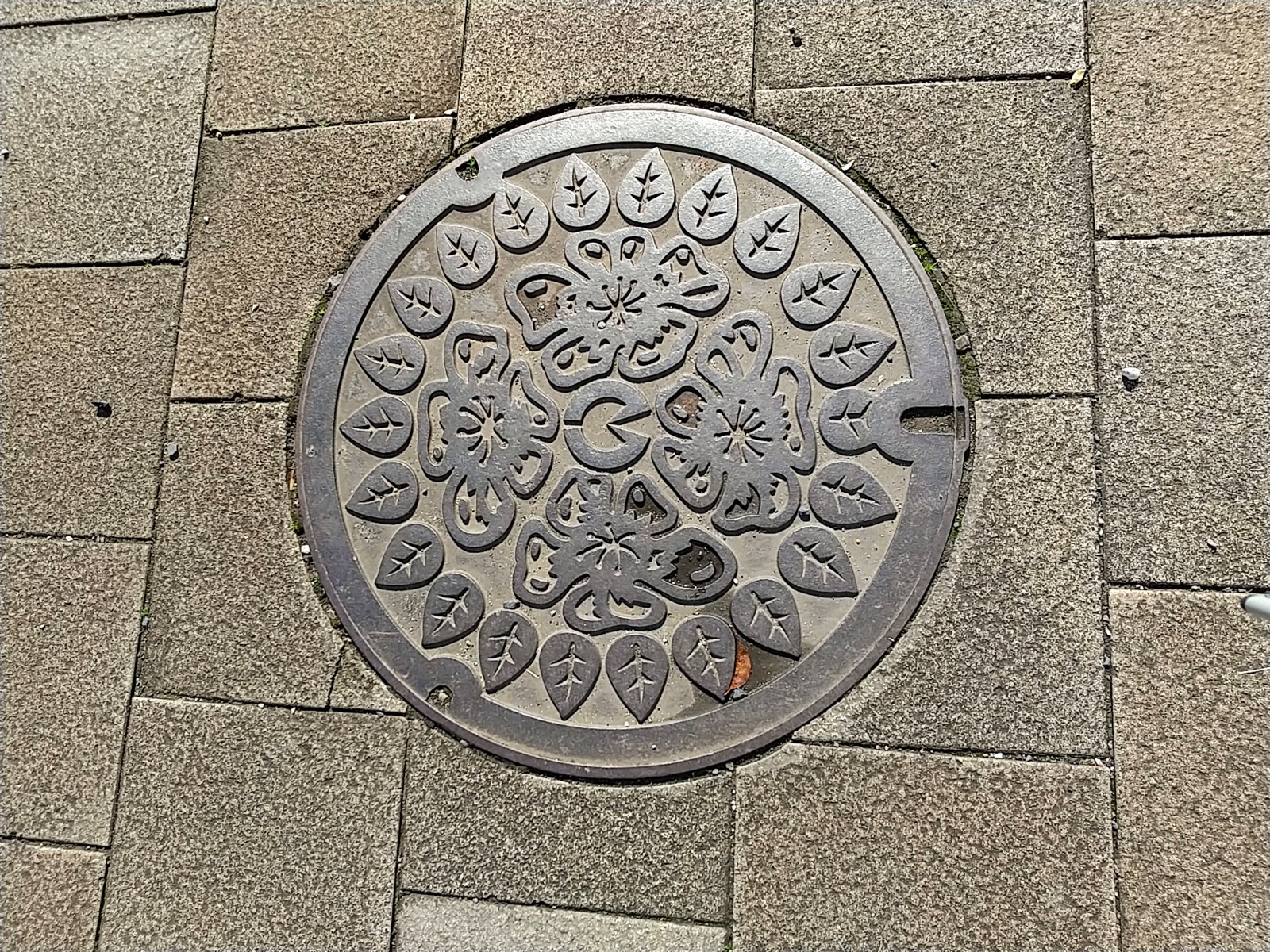 31¢£¥Þ¥ó¥Û¡¼¥ë