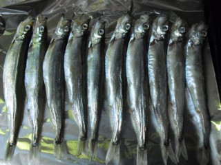 4���������