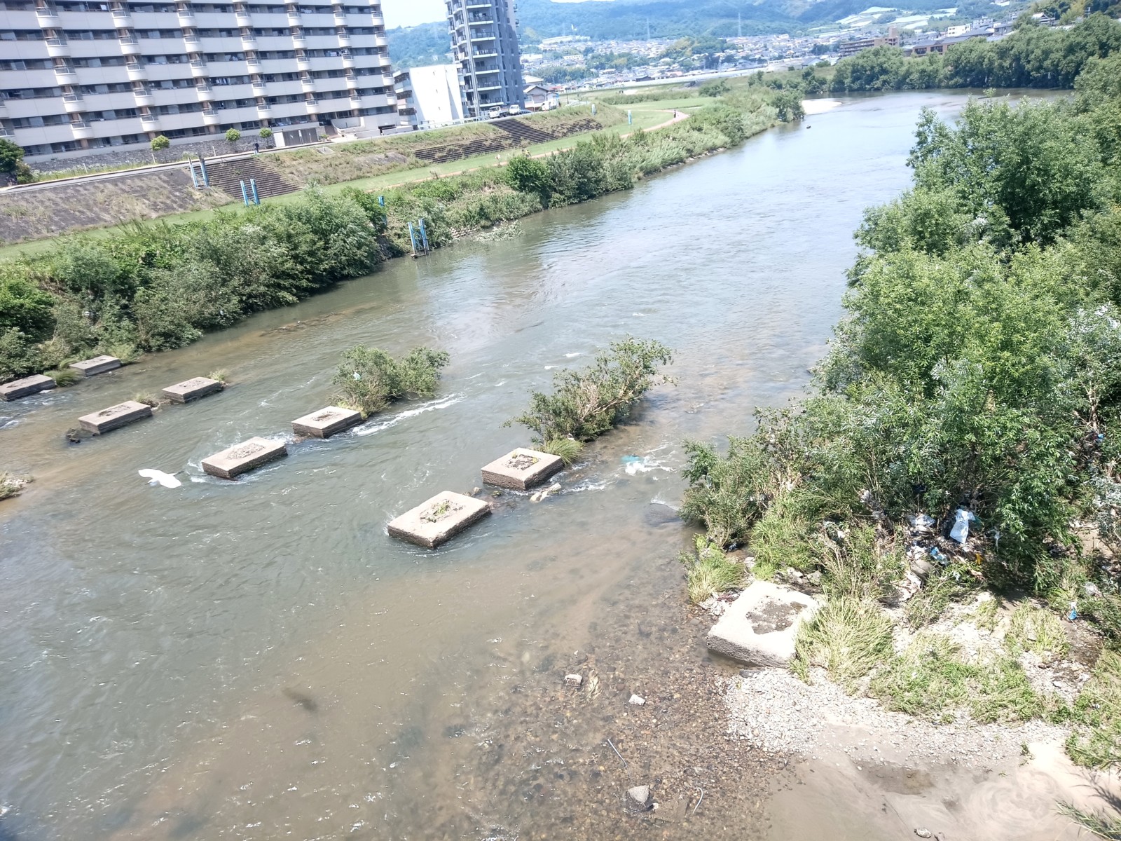 ¶¶µÓ¤ÎÅÚÂæÀ×