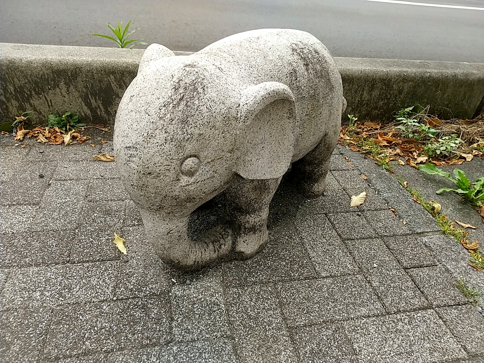 6¥¾¥¦¤µ¤ó