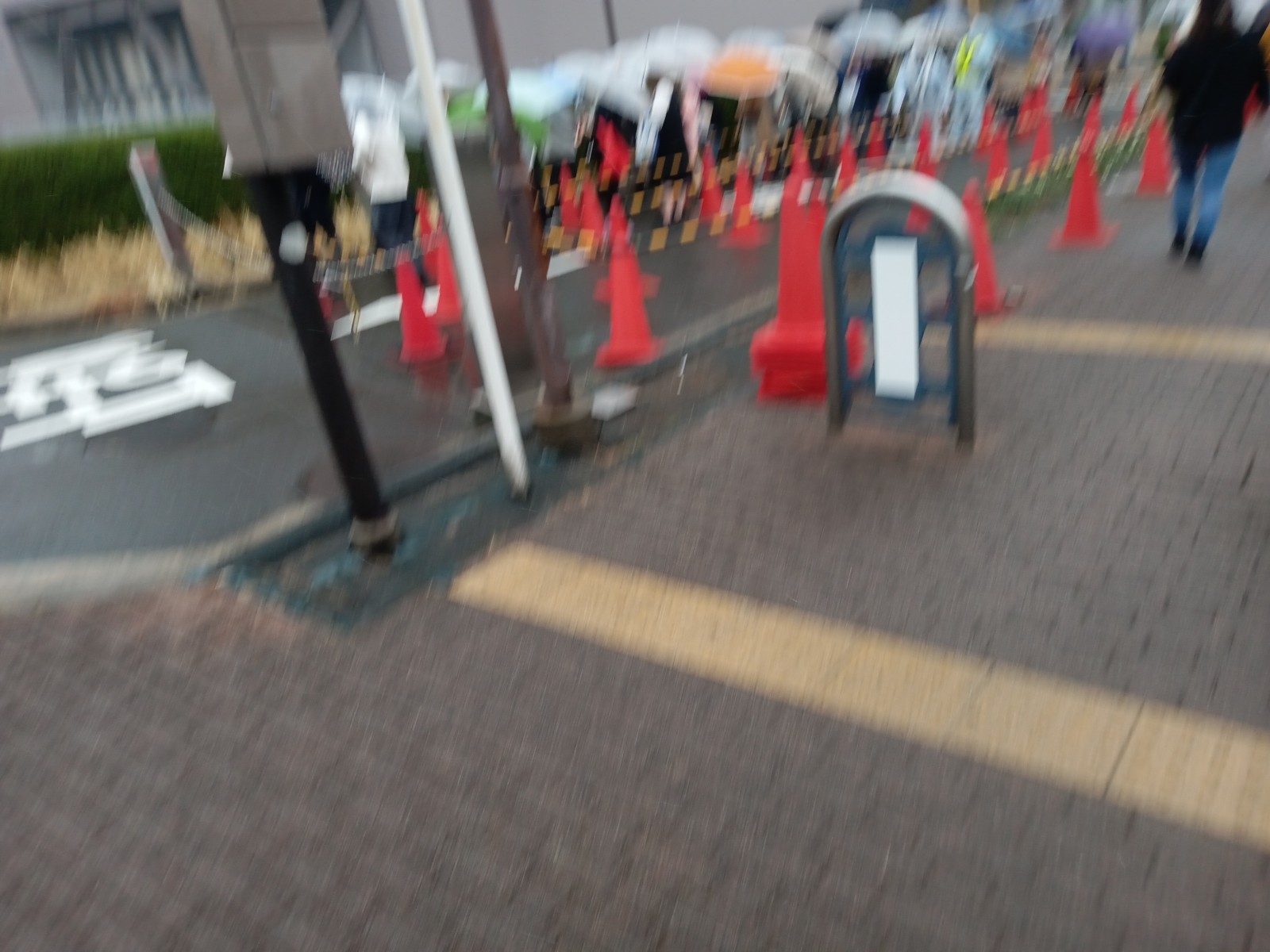 ƣ����������ԥ���Ź��