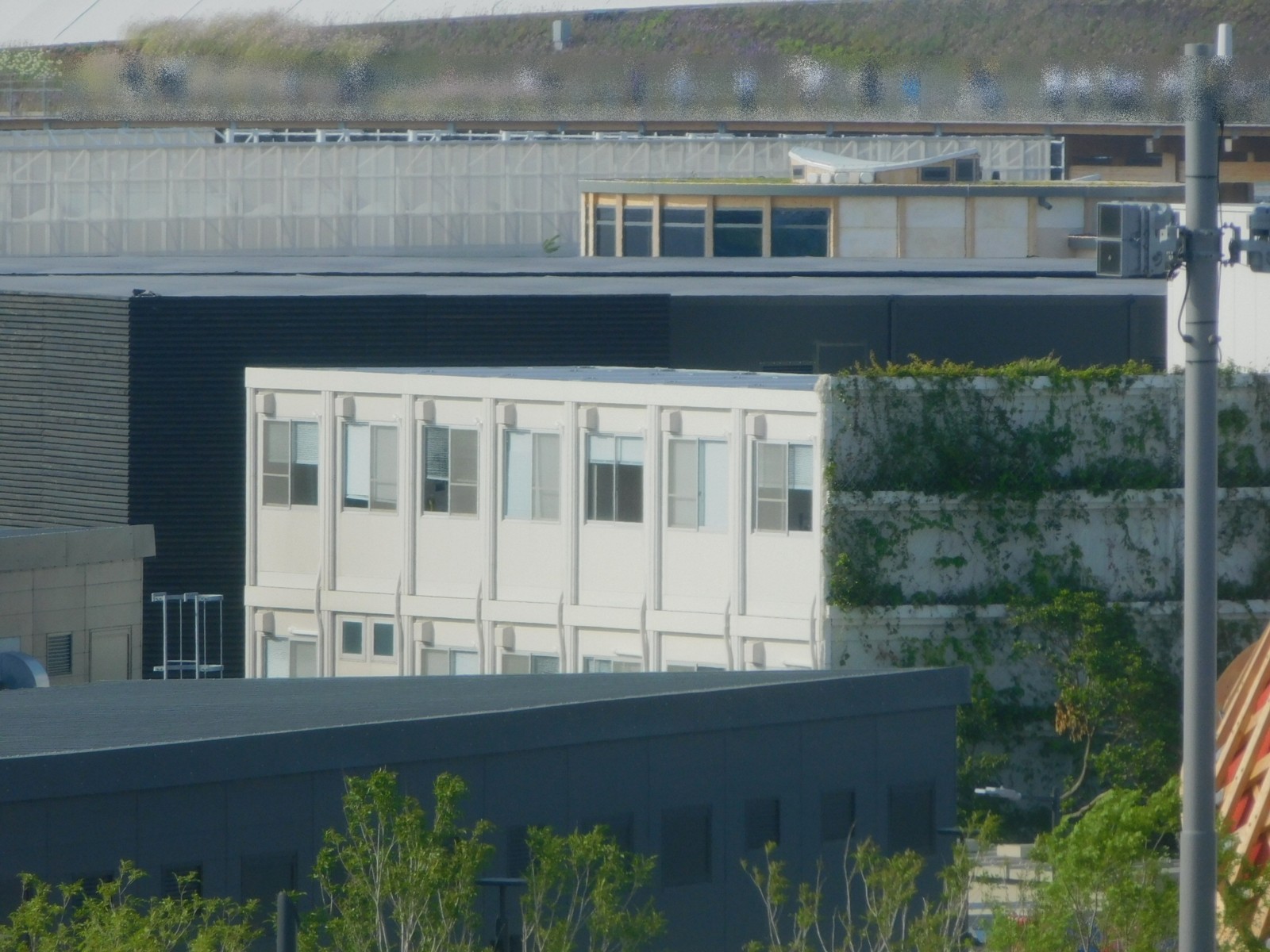 38½¾¶È°÷½É¼Ë