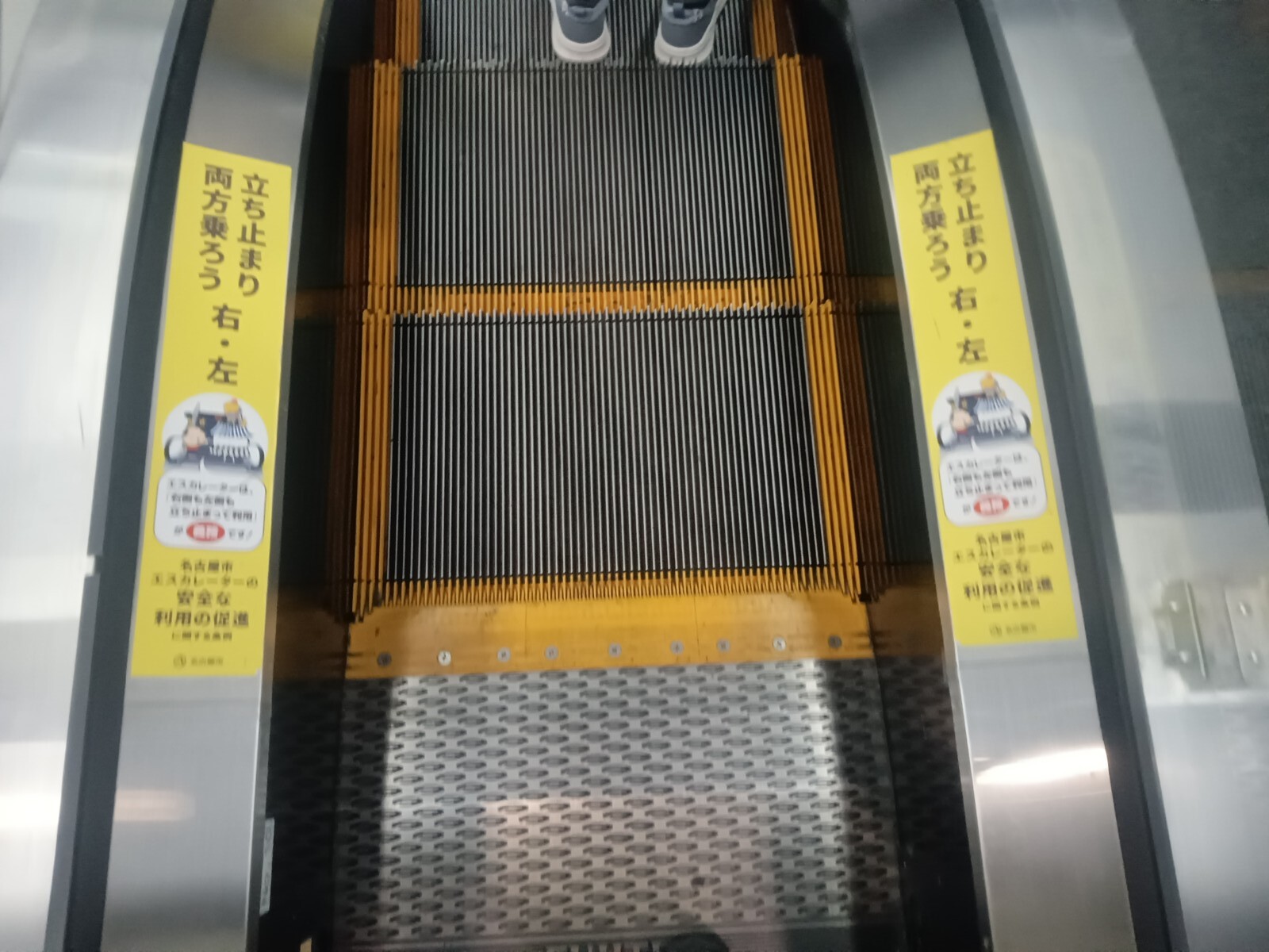 8¥¨¥¹¥«¥ì¡¼¥¿¡¼