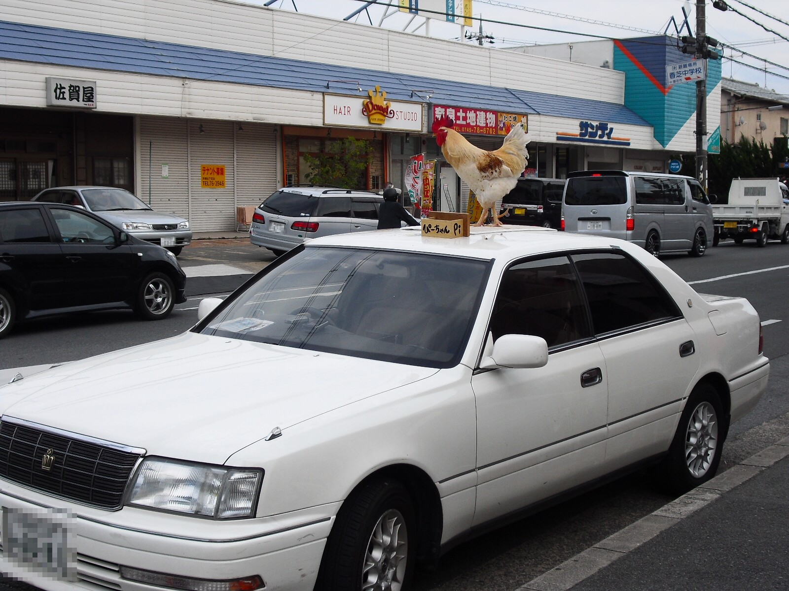 自動車の屋根の上に鶏 香芝市 求夢洞