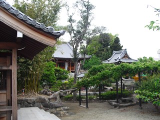 13臨済宗南禅寺派 達磨禅寺 境内
