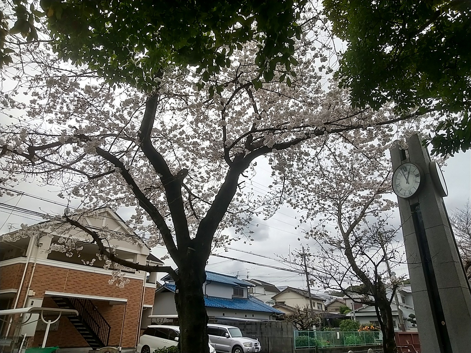 �����餤��