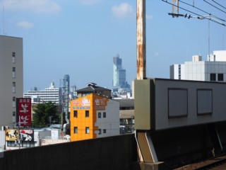 11���٤Υϥ륫��