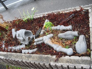 植え込みに骨