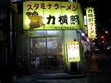 力横綱鳳外観 (1)