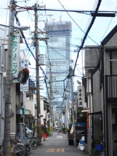 12はるかす