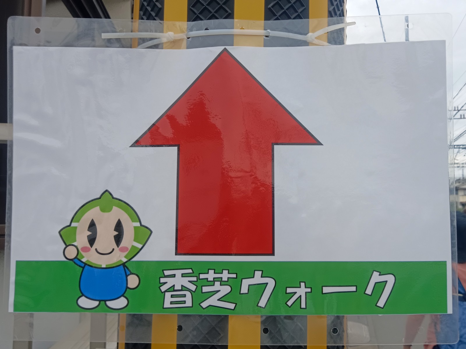 2ʬ¤«¤ìÆ»