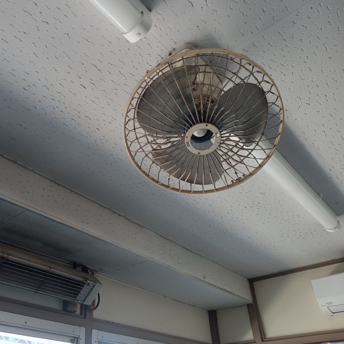 ÂԹ缼¤ÎÅ·°æ¤ËÀðÉ÷µ¡