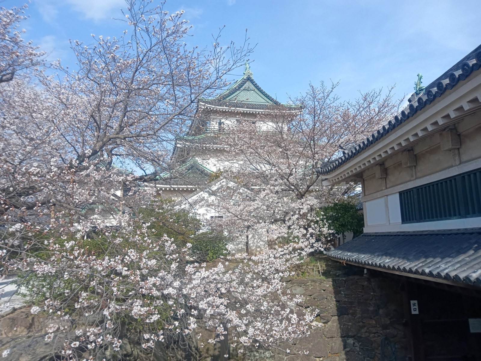 1�����²λ���