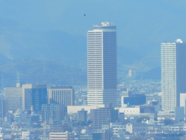 ´ôÉ쥷¥Æ¥£¥¿¥ï¡¼£´£³