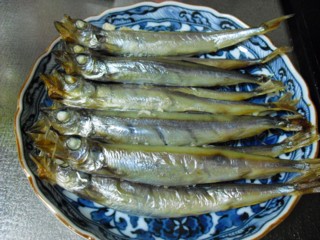 5�Ƥ������