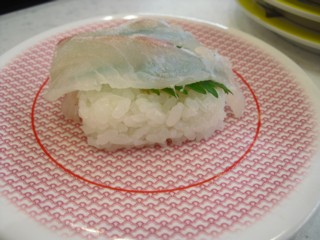 10¥¿¥¤