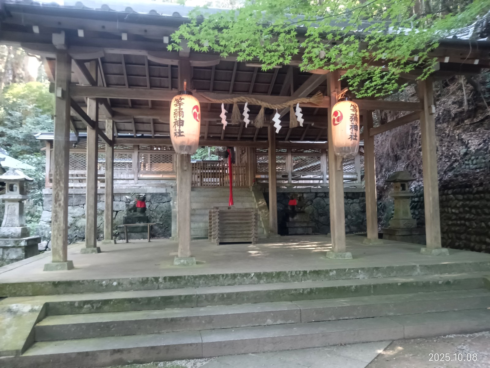 6������������