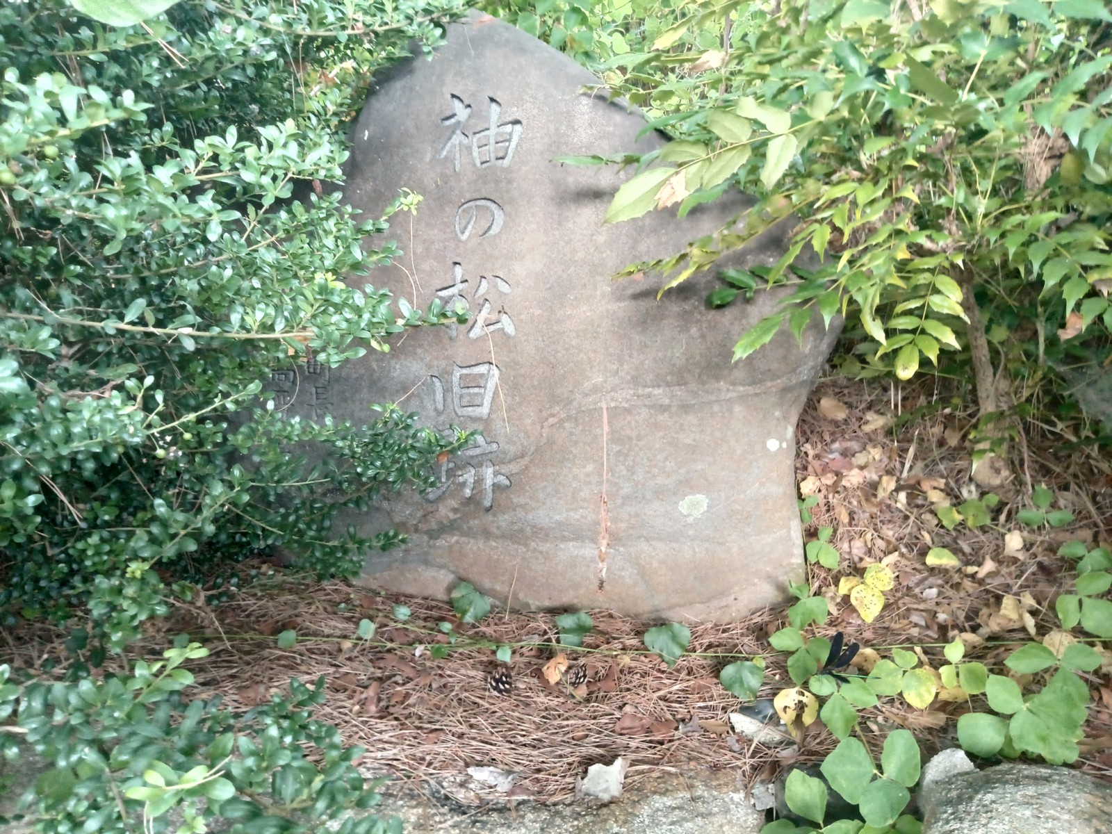 µ�ξ����פ�����