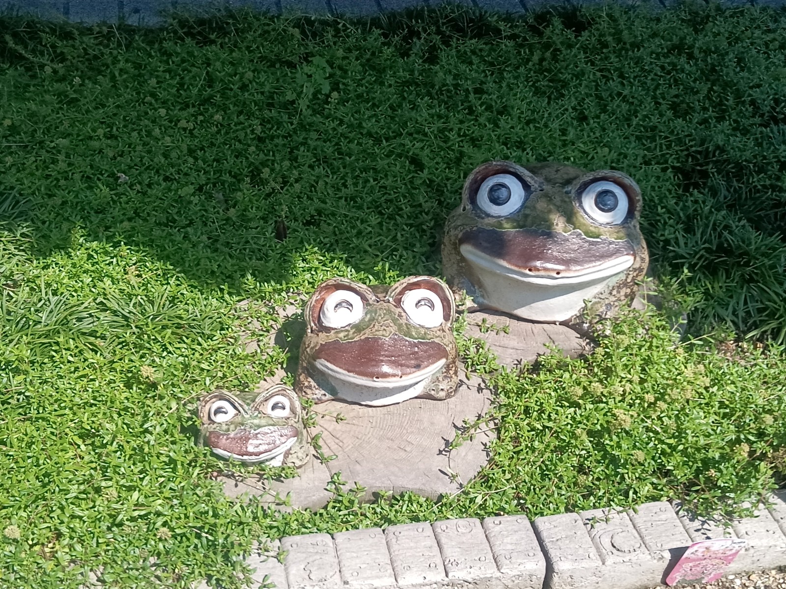 4���������ʪ