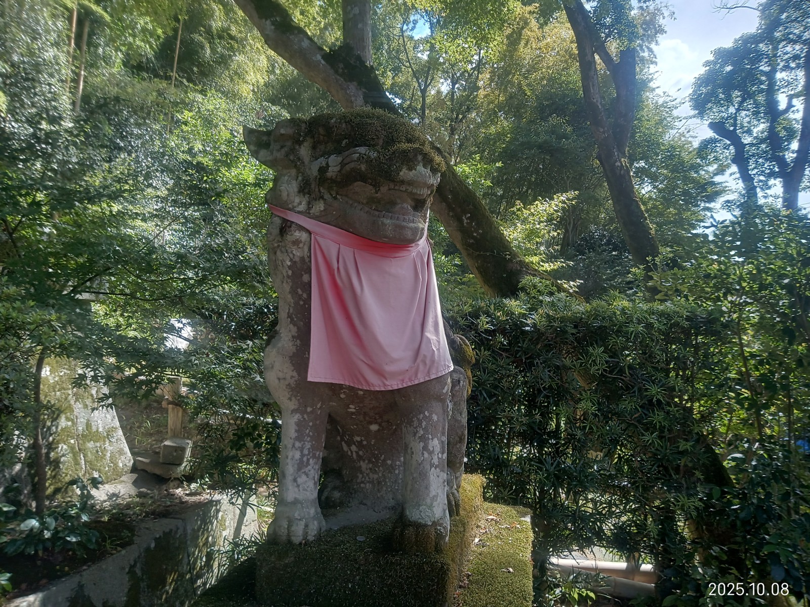 3�������󡣰�