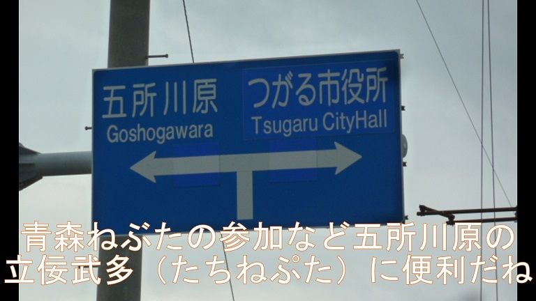 イメージ 5