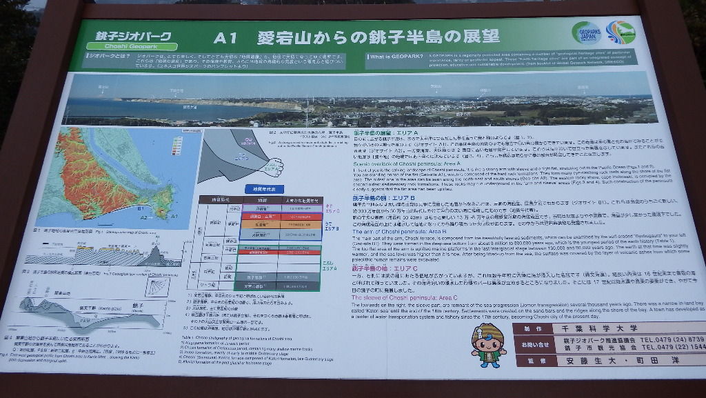 イメージ 7