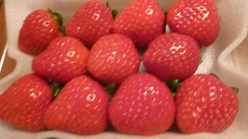 イメージ 7