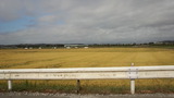 14a99041.jpg